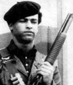 huey_p-newton-black-panthers